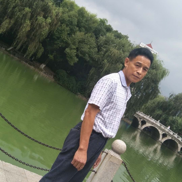 芙蓉尽朝晖的照片