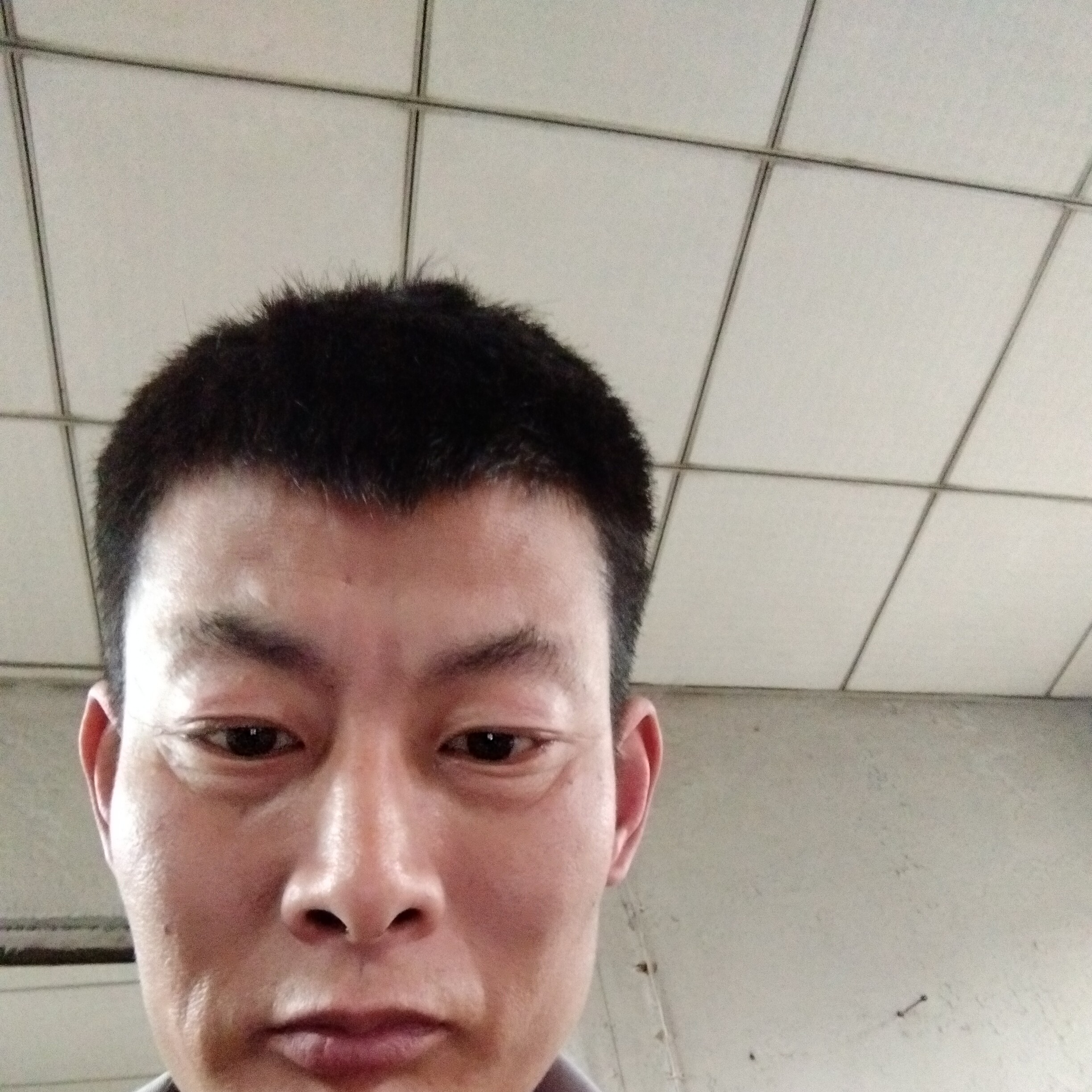 流影说精明的照片