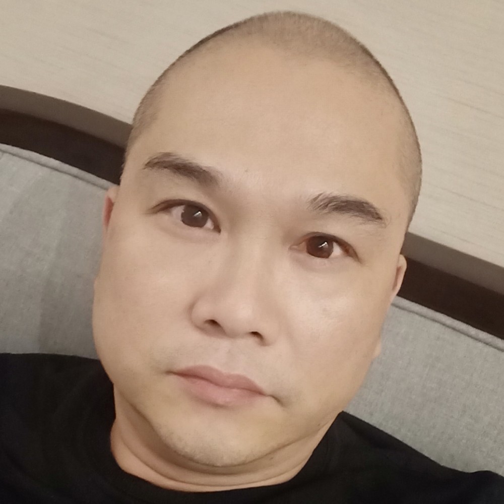 寂寞骆驼的照片