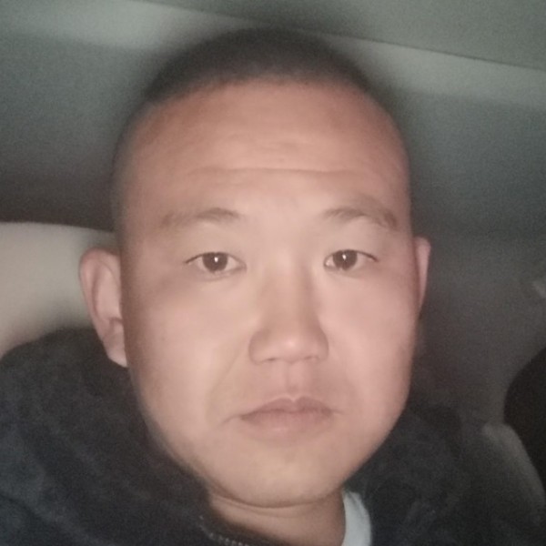 斑马和忧郁的照片