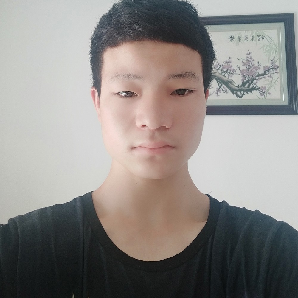 蚂蚁漫步飘逸的照片