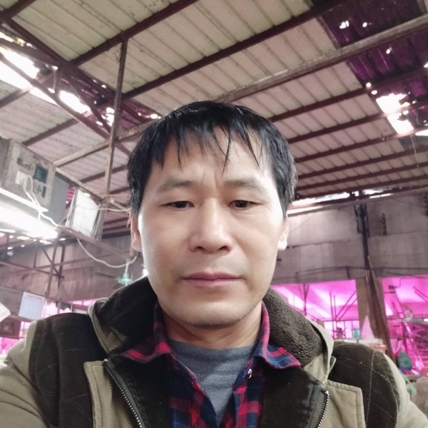 冬日愿绚烂的照片