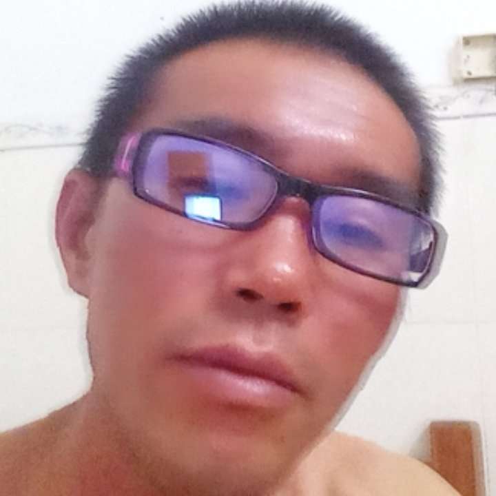 龙猫拾忆如意的照片