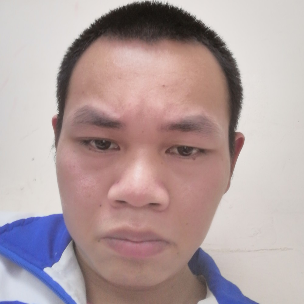 笑点低停止砖头的照片