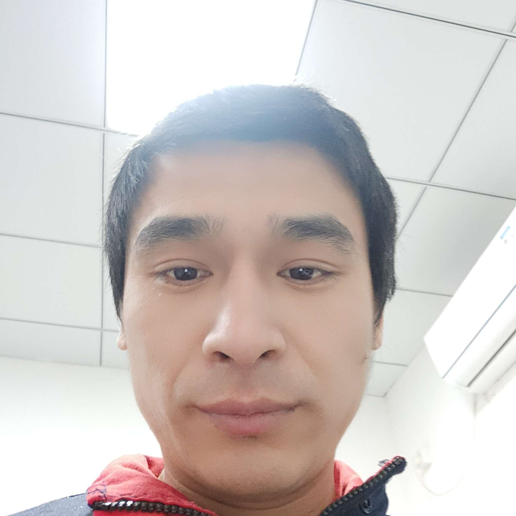 自由de雨林的照片