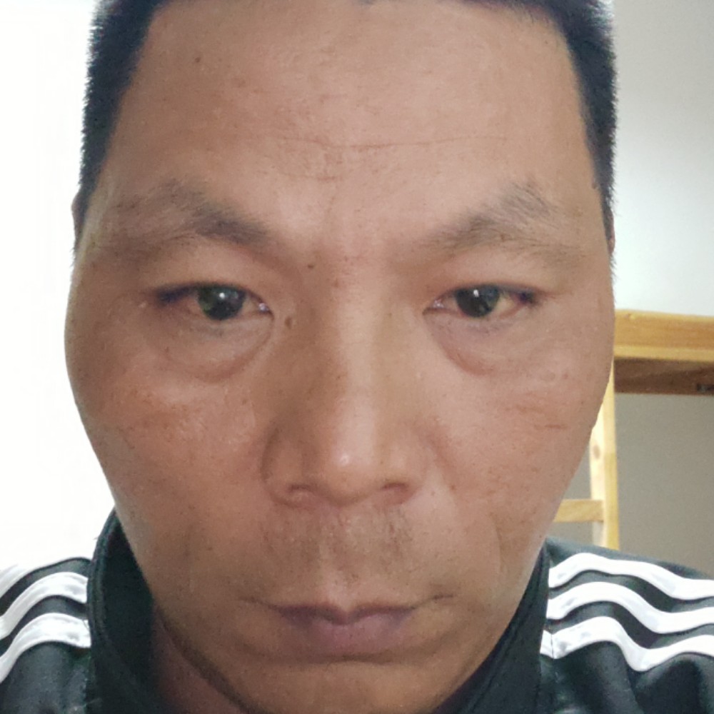 愉快回首犀牛的照片