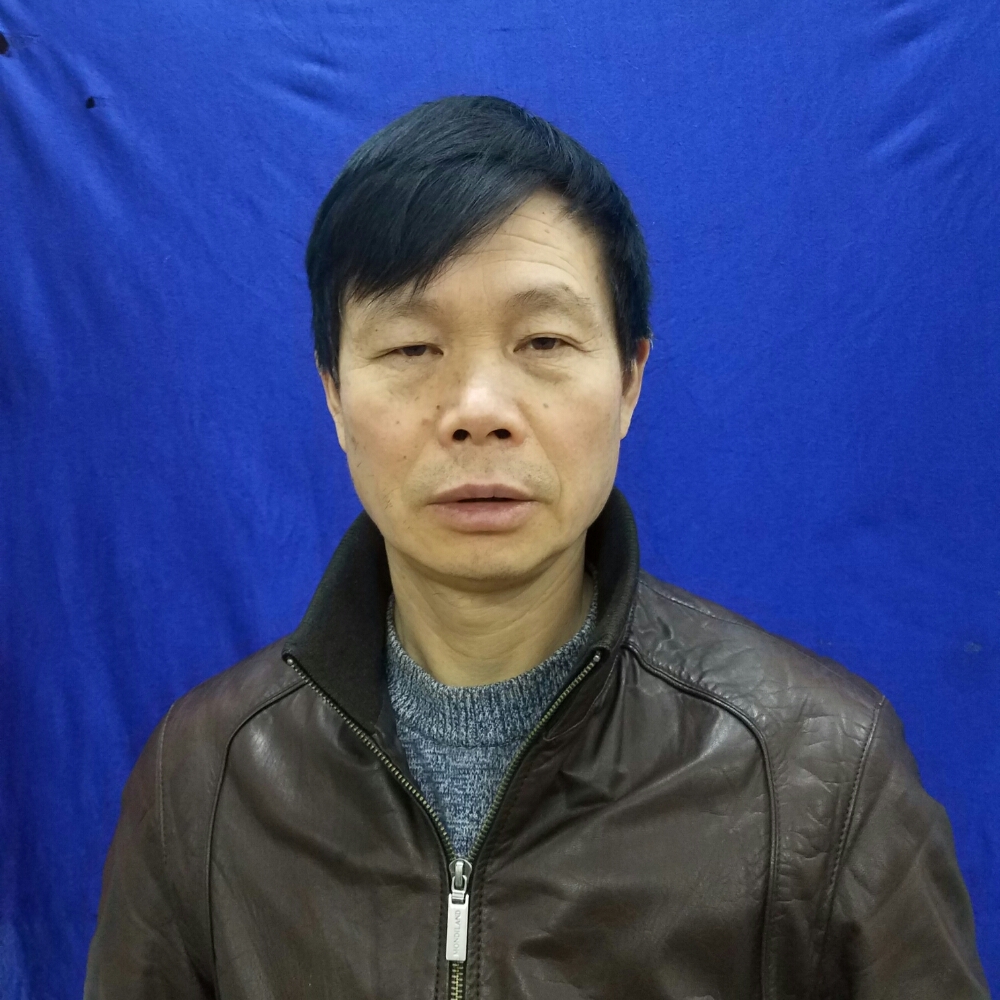 矫情有羽毛的照片