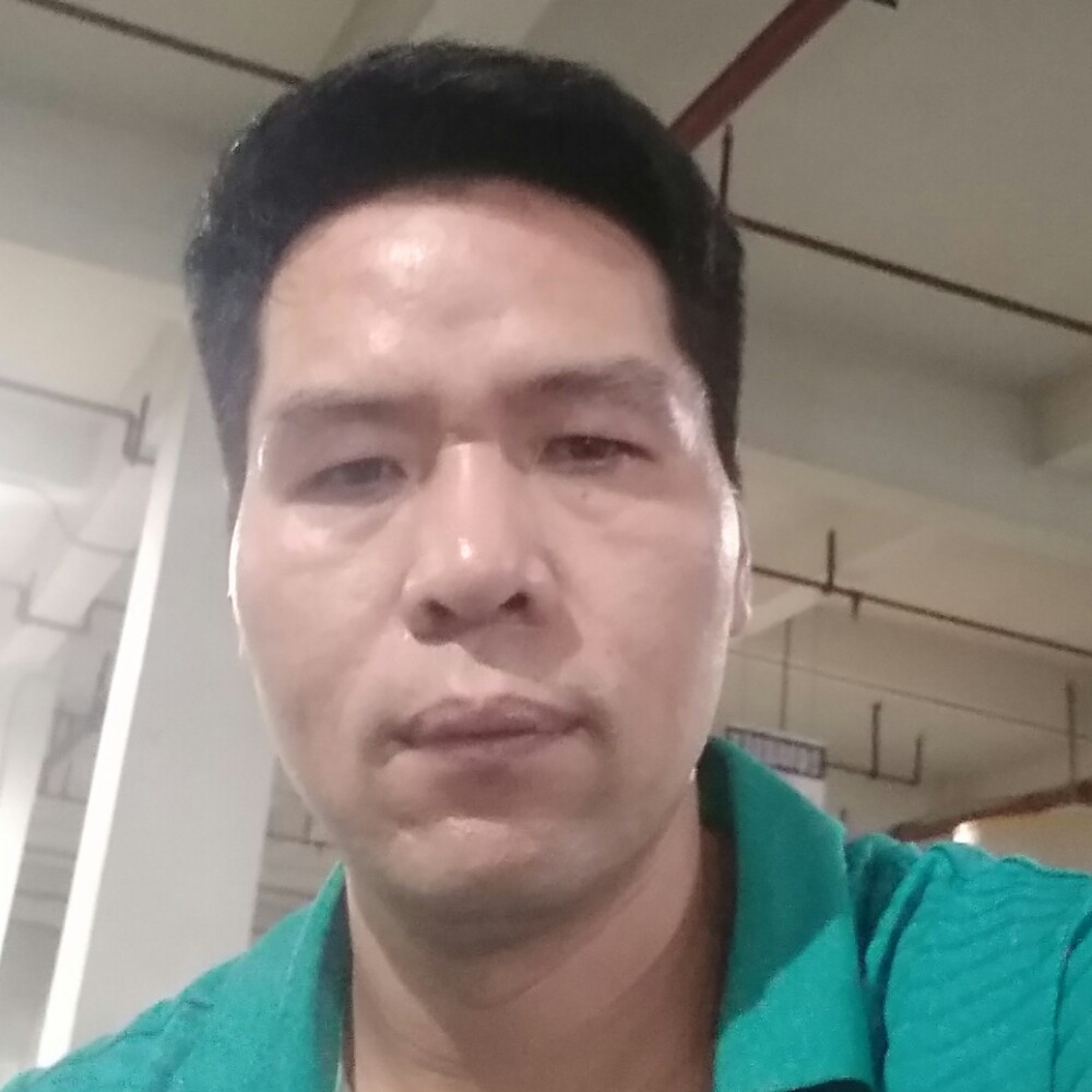 花卷停止秀丽的照片