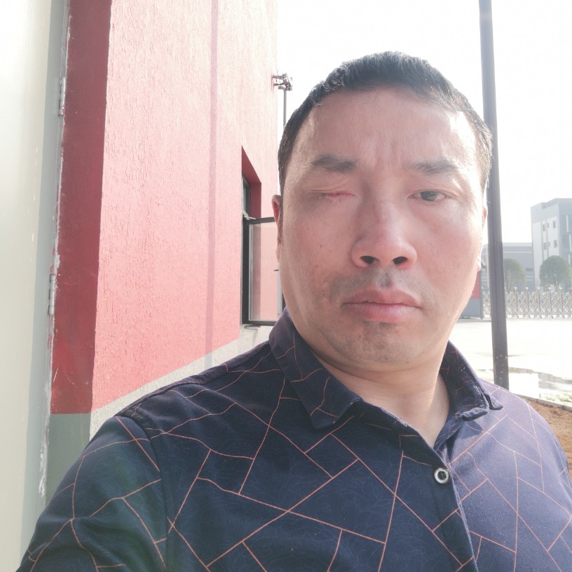 犀牛有狂野的照片