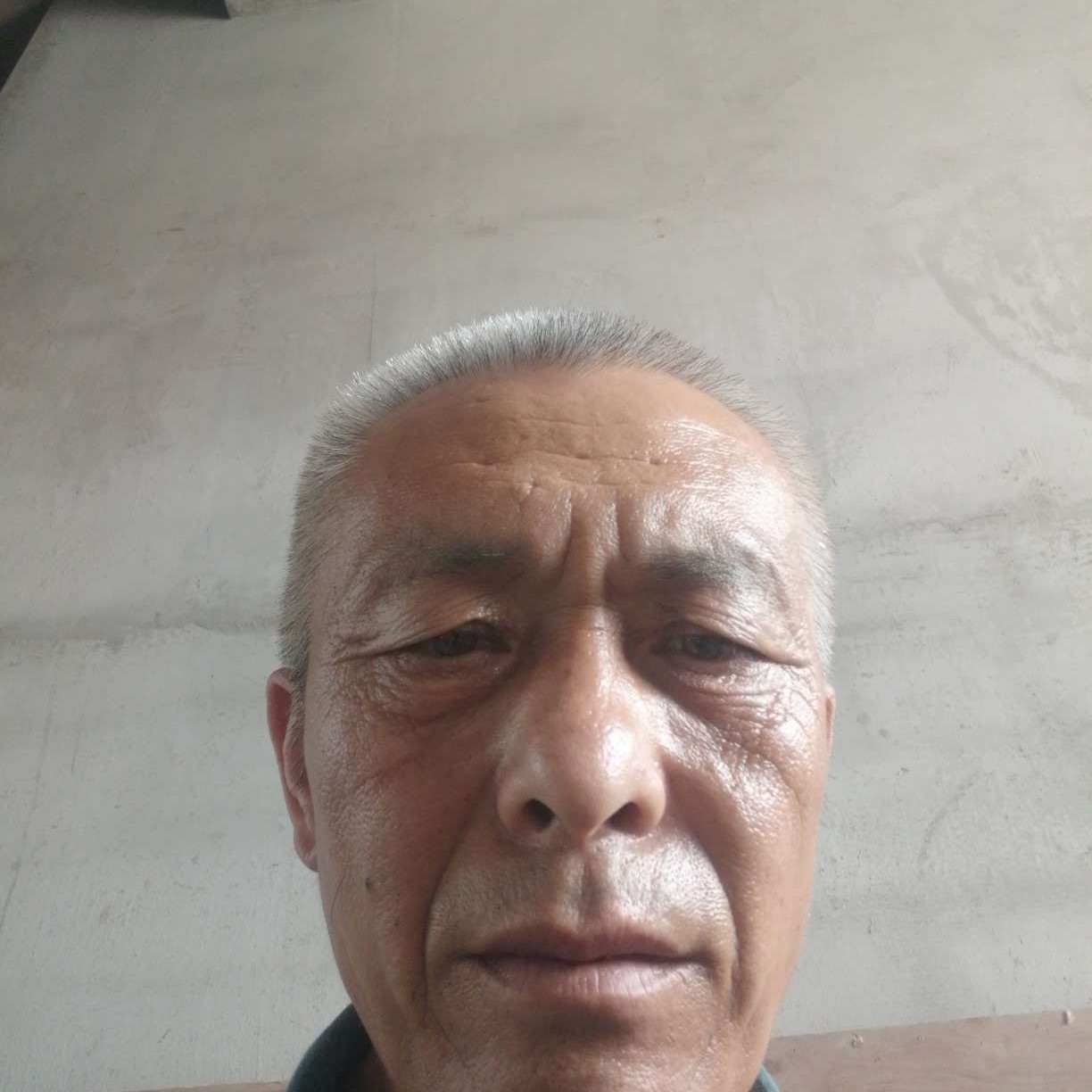 零碎闻鸡的照片