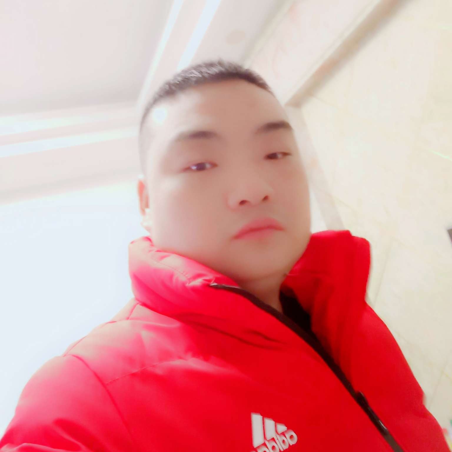 小天鹅相许无私的照片