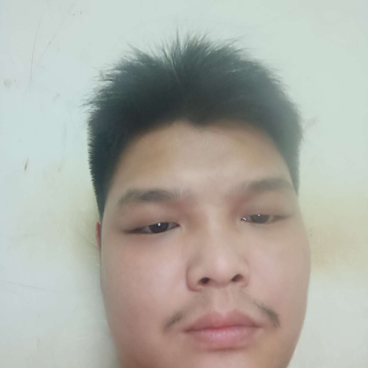 疯狂漫步洋葱的照片
