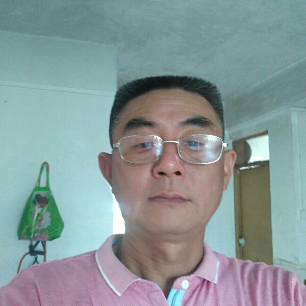 蜜蜂大方的照片