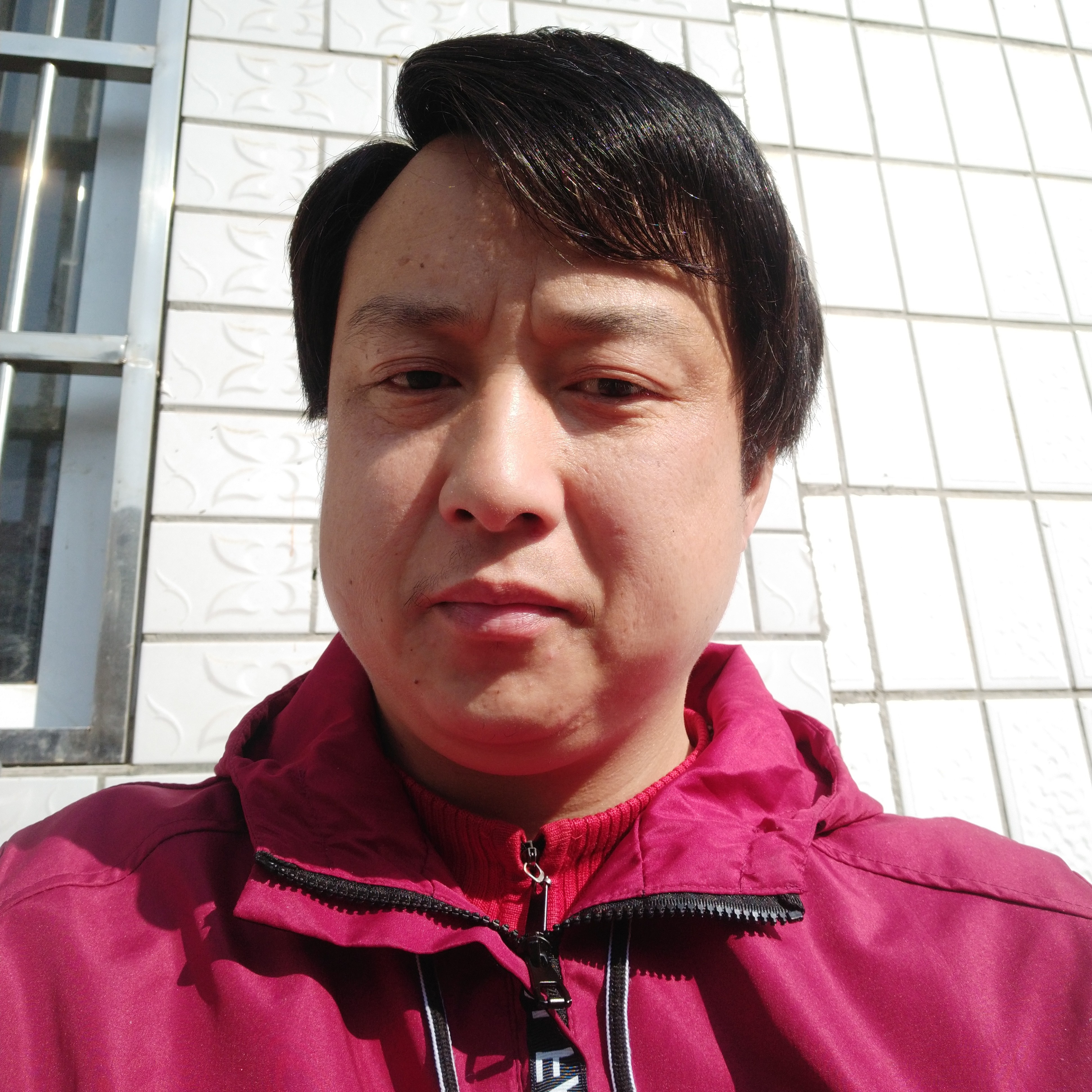 江城的狼的照片