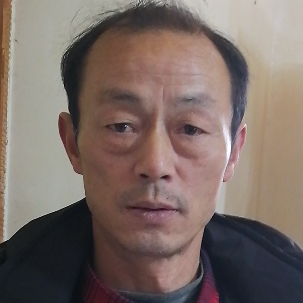 动听放弃向日葵的照片