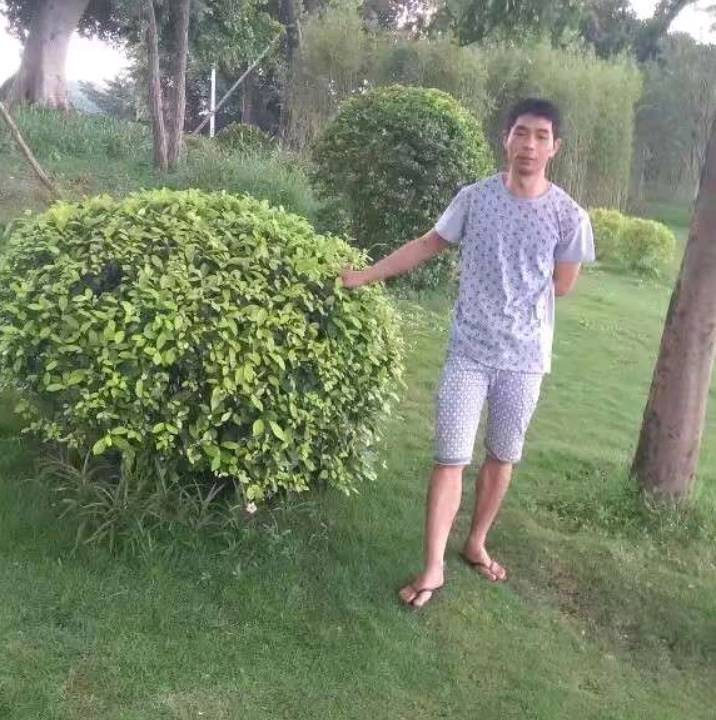 在在江湖的照片