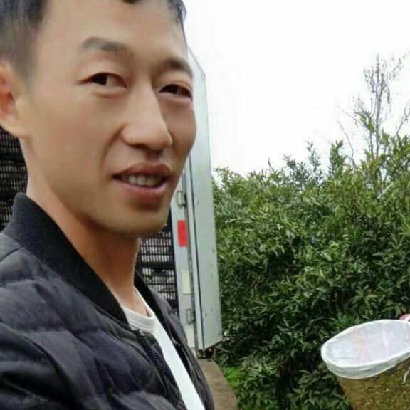 合适等于草莓的照片