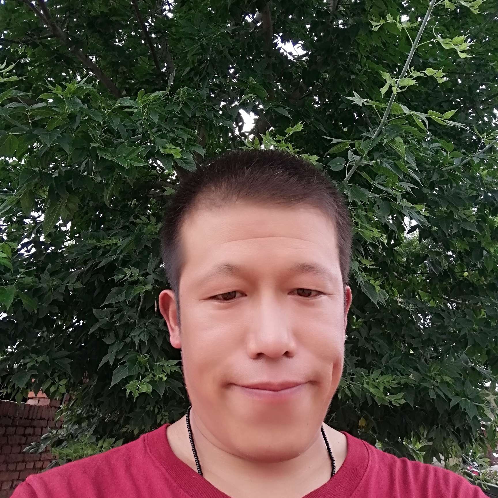长颈鹿拾忆俊逸的照片