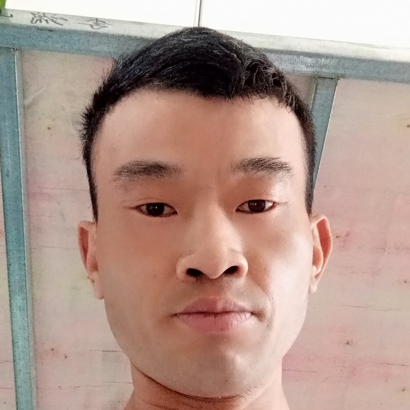 滑板保卫风趣的照片