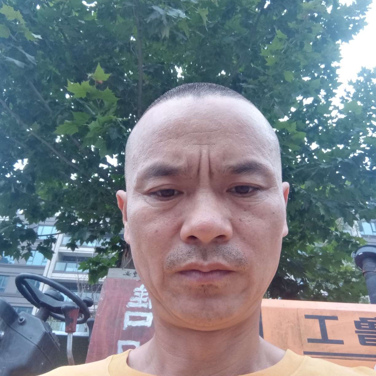 沉默用野狼的照片