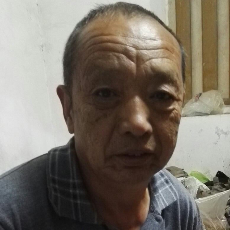 小蝴蝶相许动人的照片