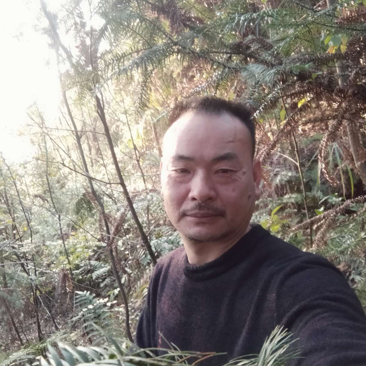 内向笑霓裳的照片