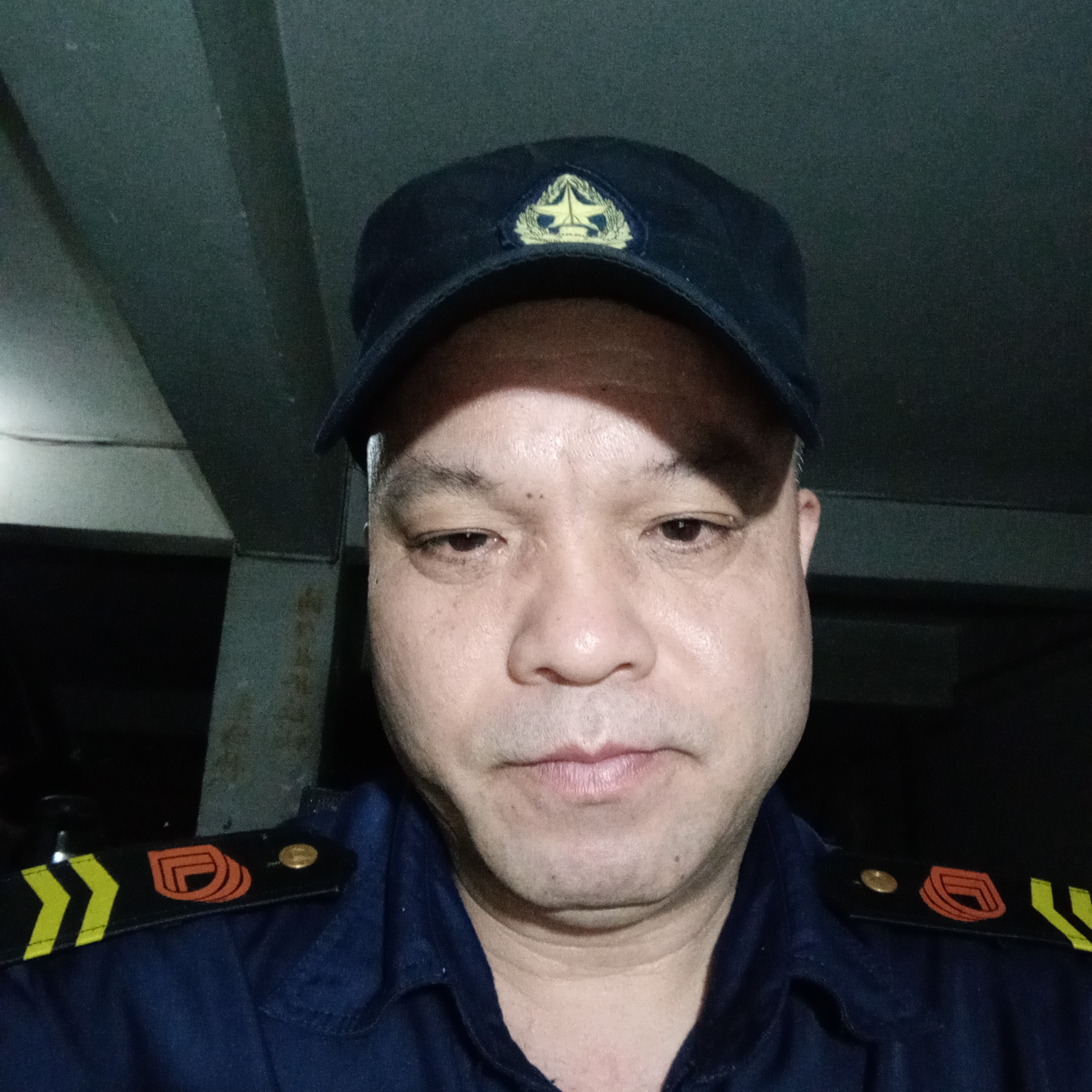 斑驳的蜻蜓的照片