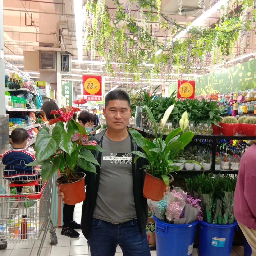 小土豆多么失眠的照片