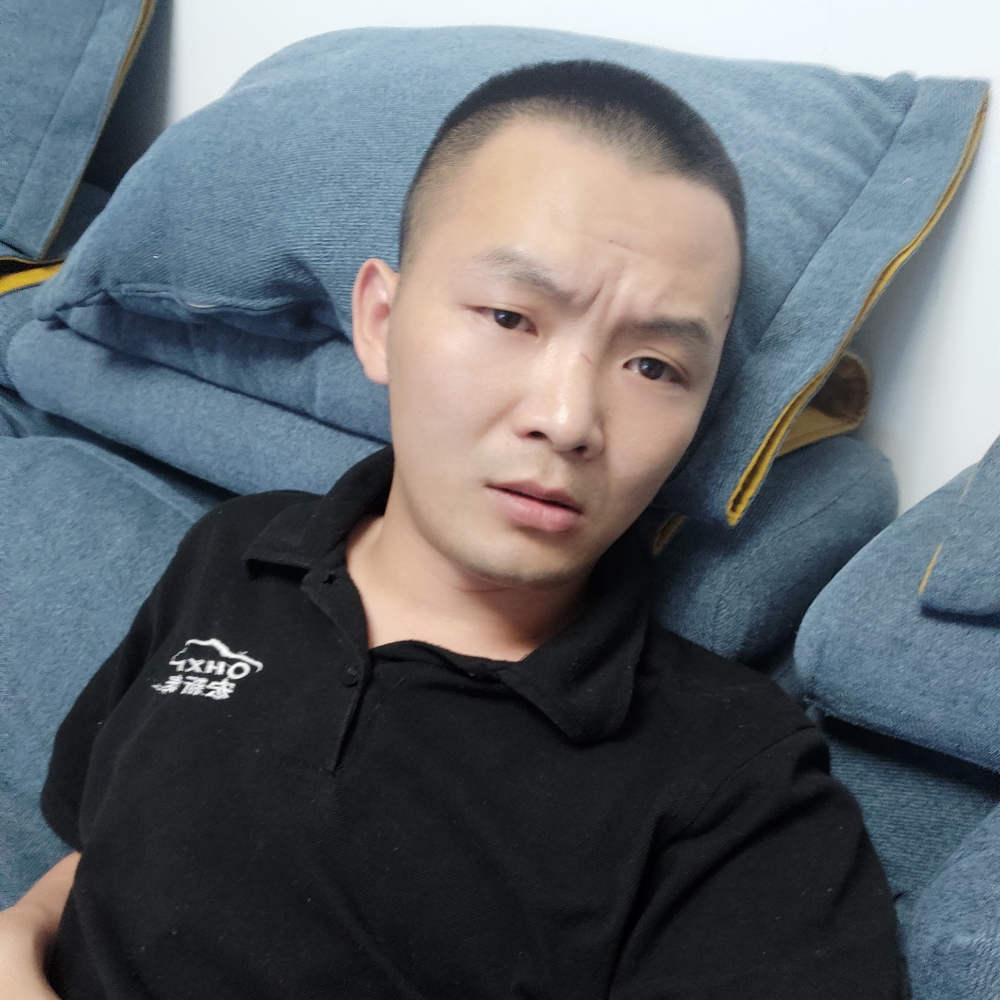 温暖向仙人掌的照片