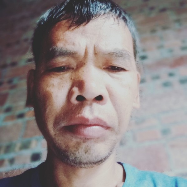 木头人mn的照片