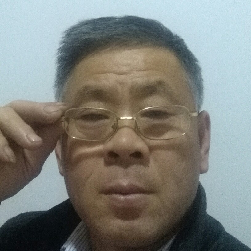 秀丽饼干的照片