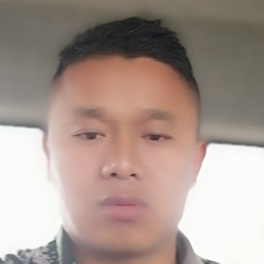 胡萝卜勾引小白兔的照片
