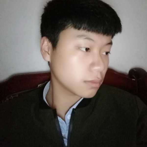 我们的蚂蚁的照片