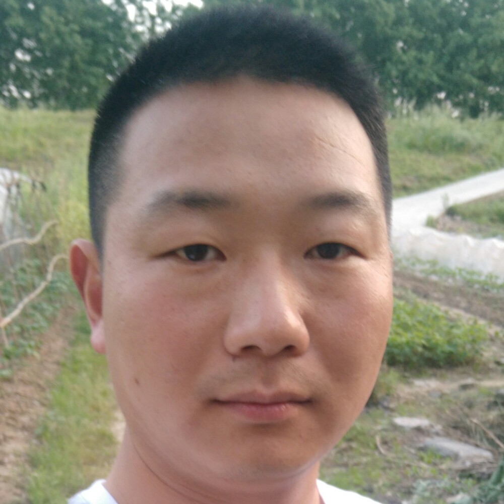 桂善停的照片