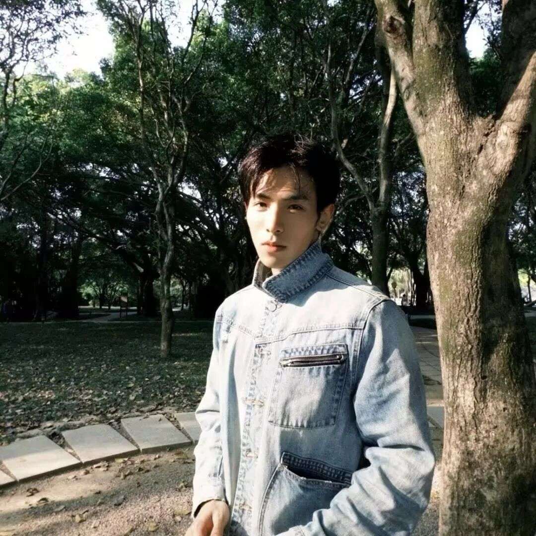 陈歌