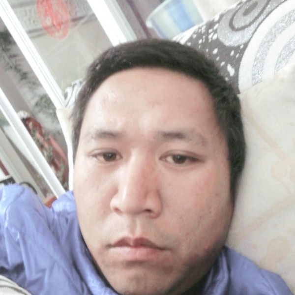 云南龙七的照片