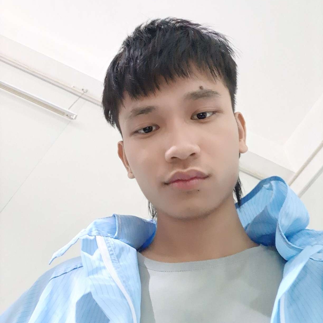 机智大黄蜂的照片