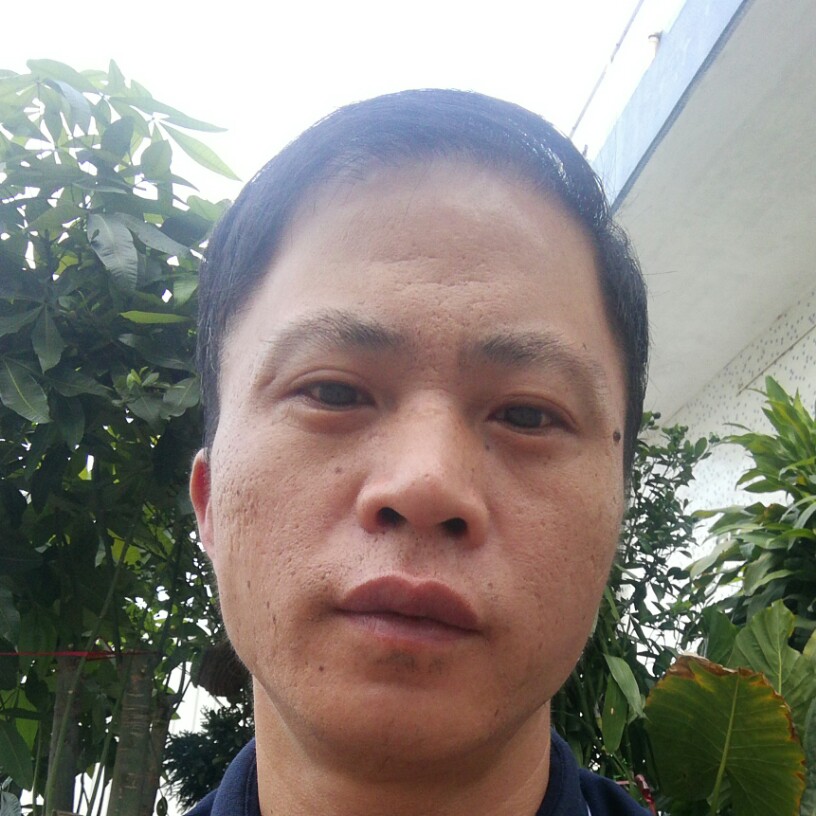 绿草还单身的照片