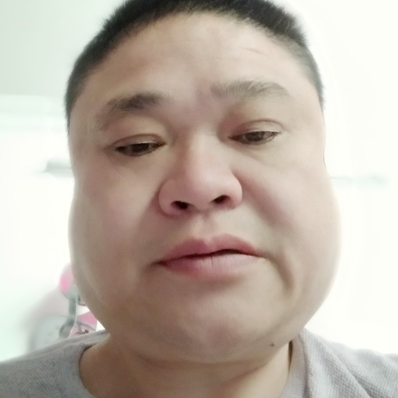 浪子孤雁的照片