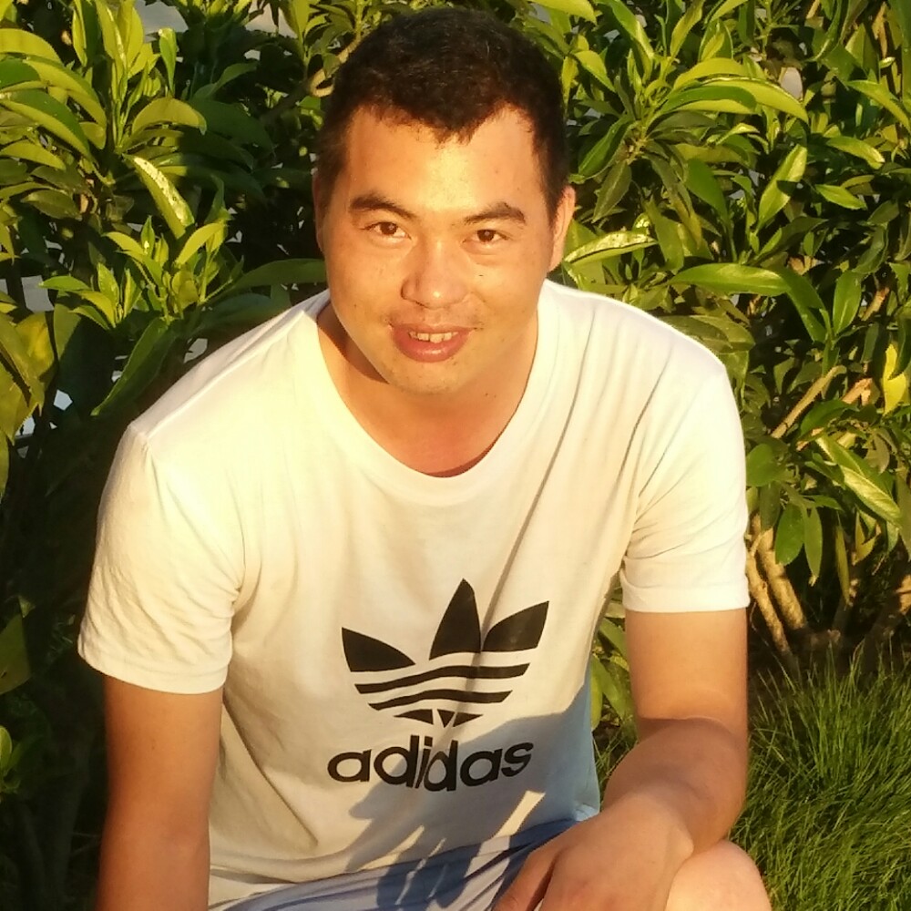 矮小小蚂蚁的照片