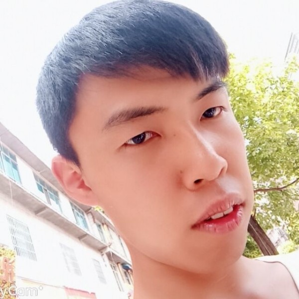 乐曲停止迅速的照片