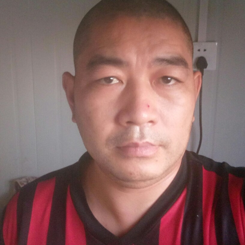 威武红牛的照片