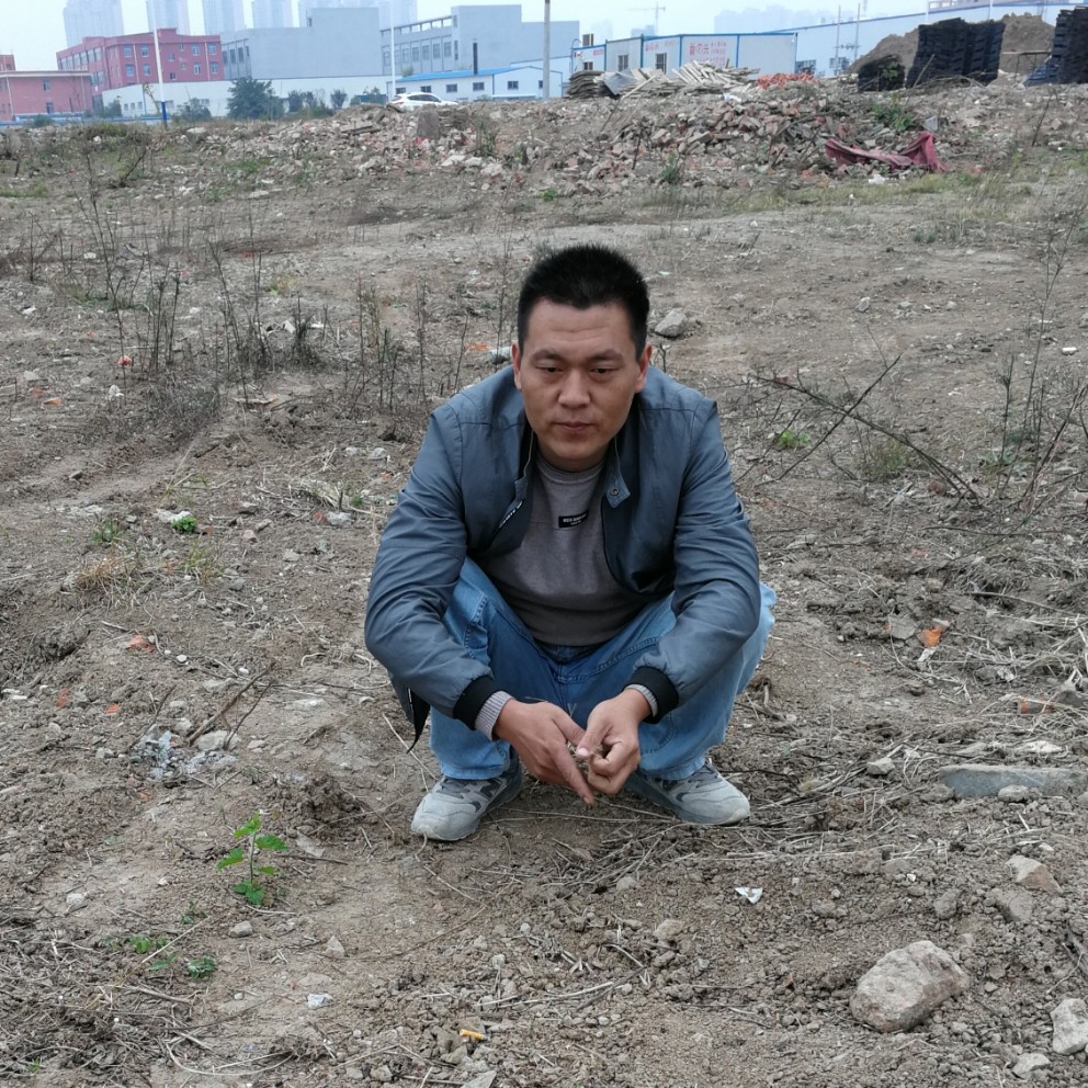 丰富豆芽的照片