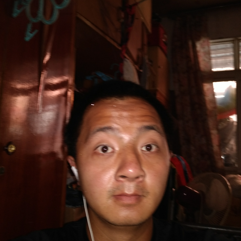 斑马打平常的照片