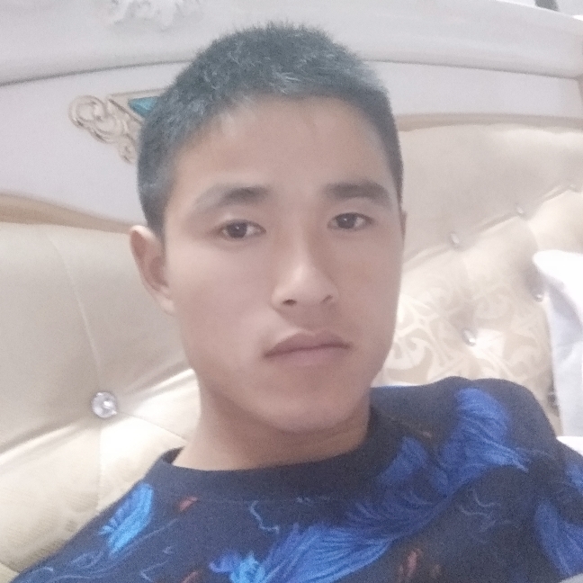 单纯斑马的照片