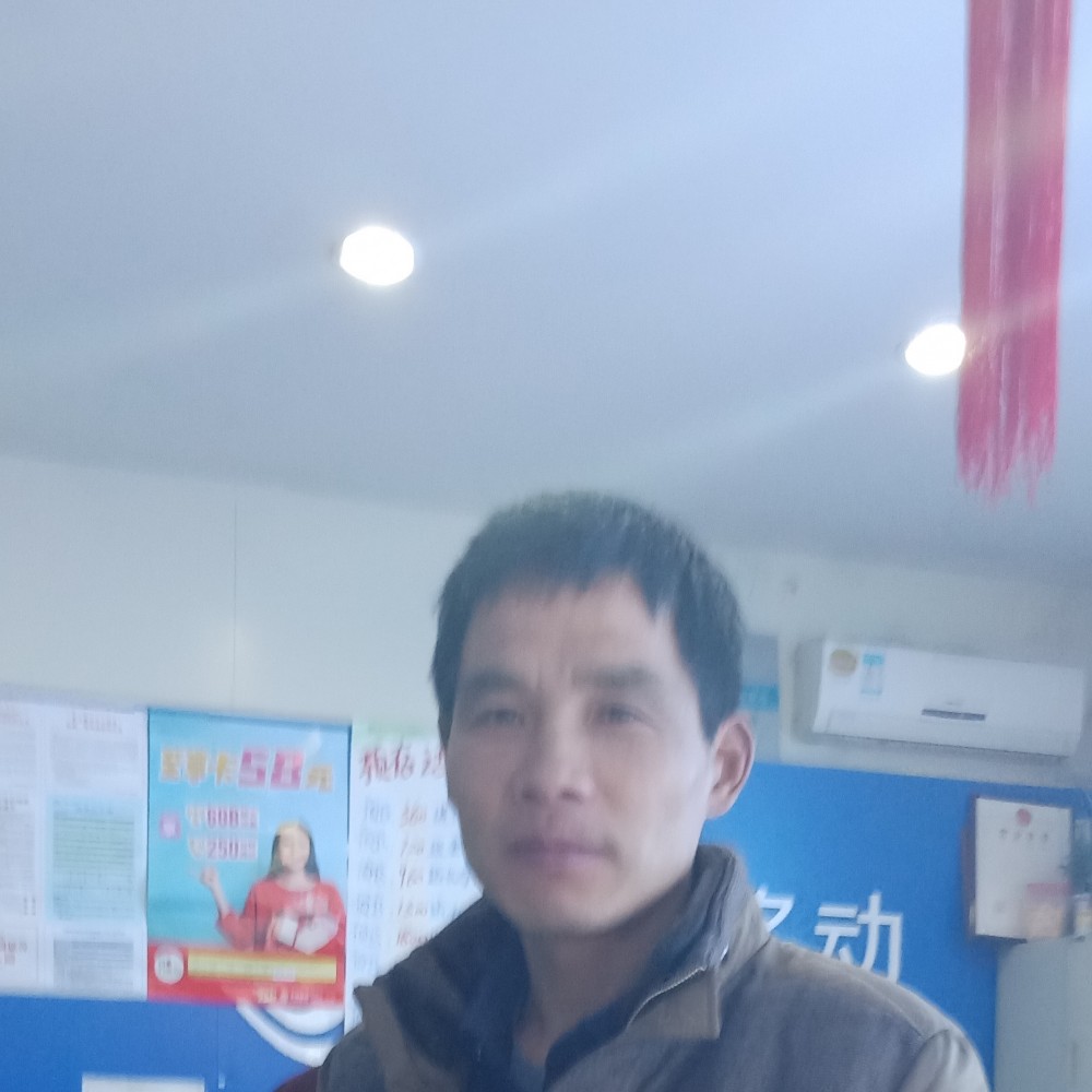 孤独的狼的照片