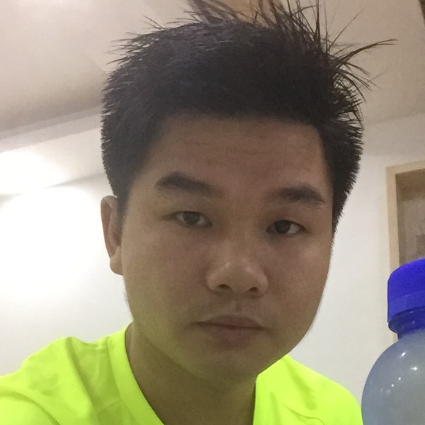 勤劳乌龟的照片