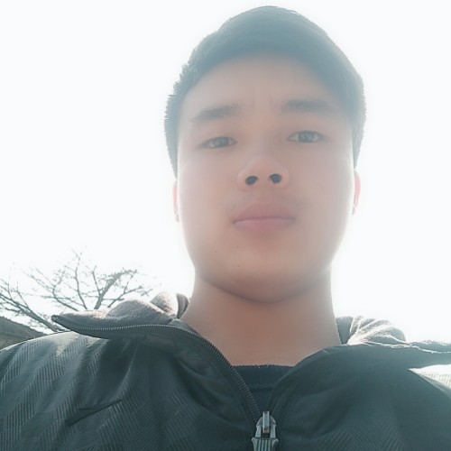 古月狐的照片