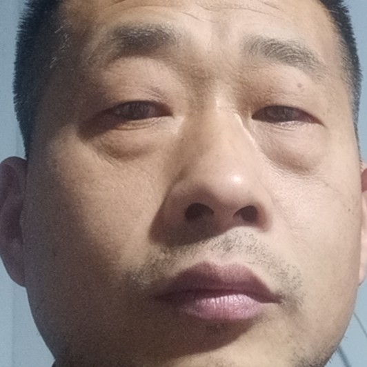 动人愿康乃馨的照片