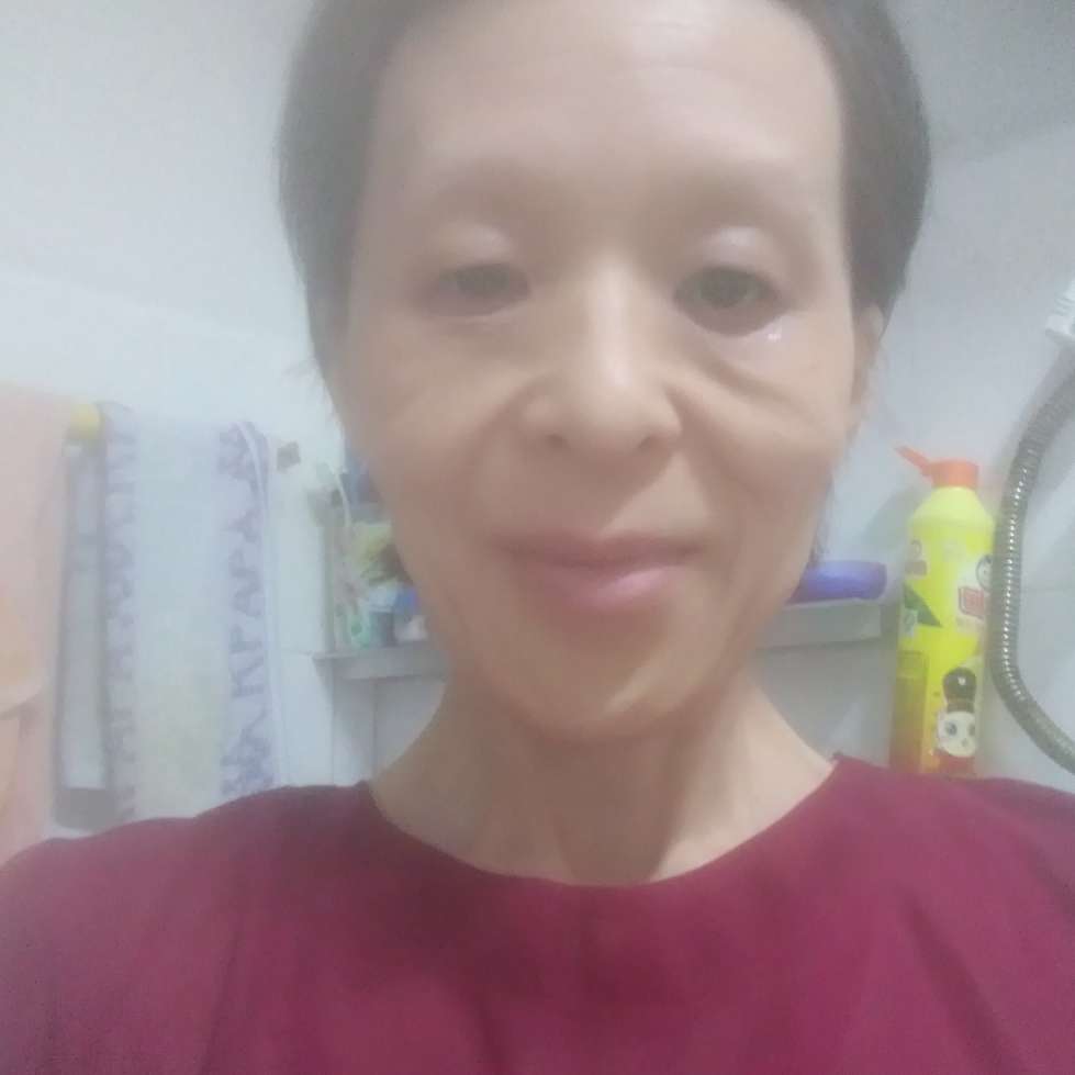 斑马相许舒适的照片